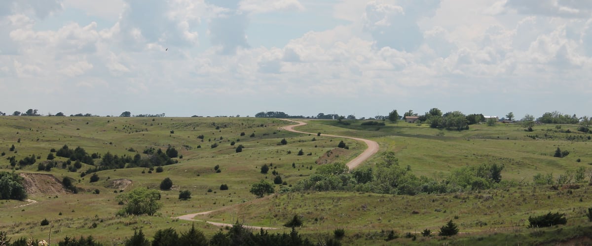 A winding dirt road through a green, hilly landscape with scattered trees and a cloudy sky.