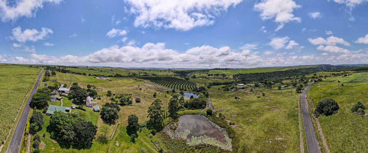 A rural landscape with rolling hills, a winding road, a small pond, and scattered houses.
