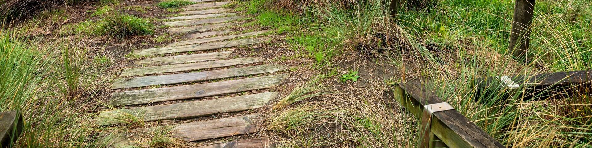 Boardwalk access and sign on Waitarere beach in Manawatu near Levin in New Zealand