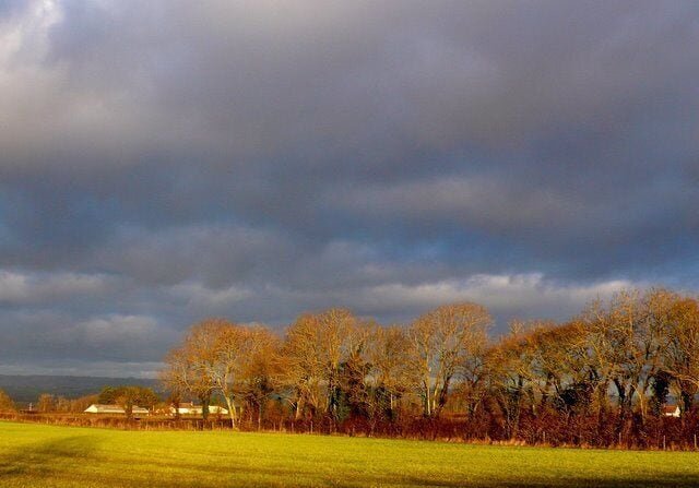 Fields near Catcott View east across the fields south of Catcott from Holy Well Road which runs north off the A39 near Larch Drive Farm.