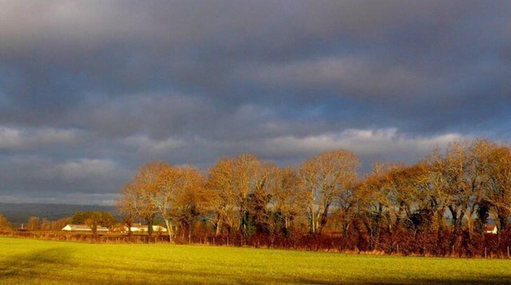 Fields near Catcott View east across the fields south of Catcott from Holy Well Road which runs north off the A39 near Larch Drive Farm.