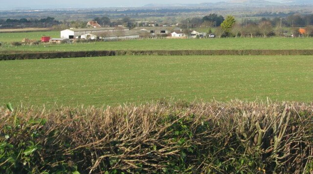 Fields by Holy Well Road