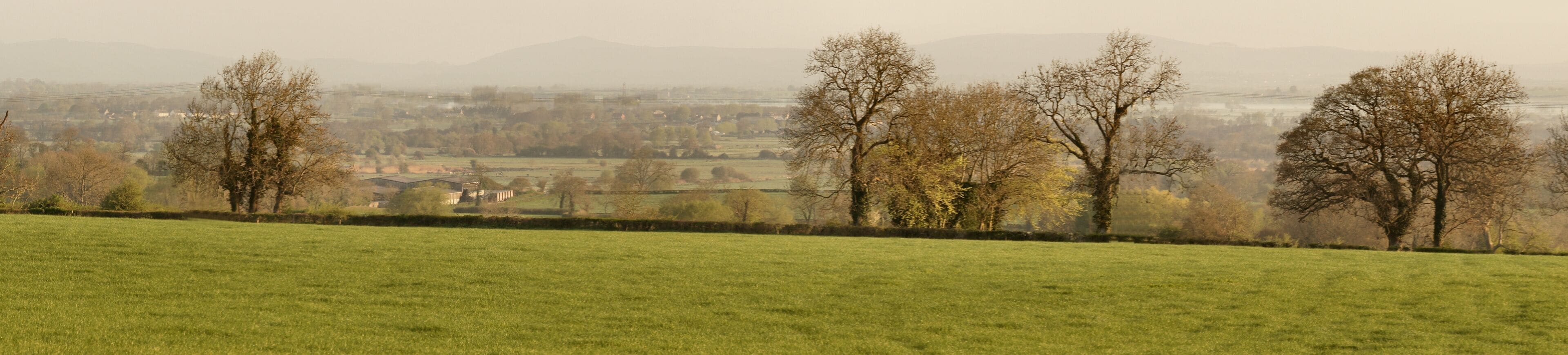 Looking across the Somerset Levels from the Polden Hills on a misty morning.