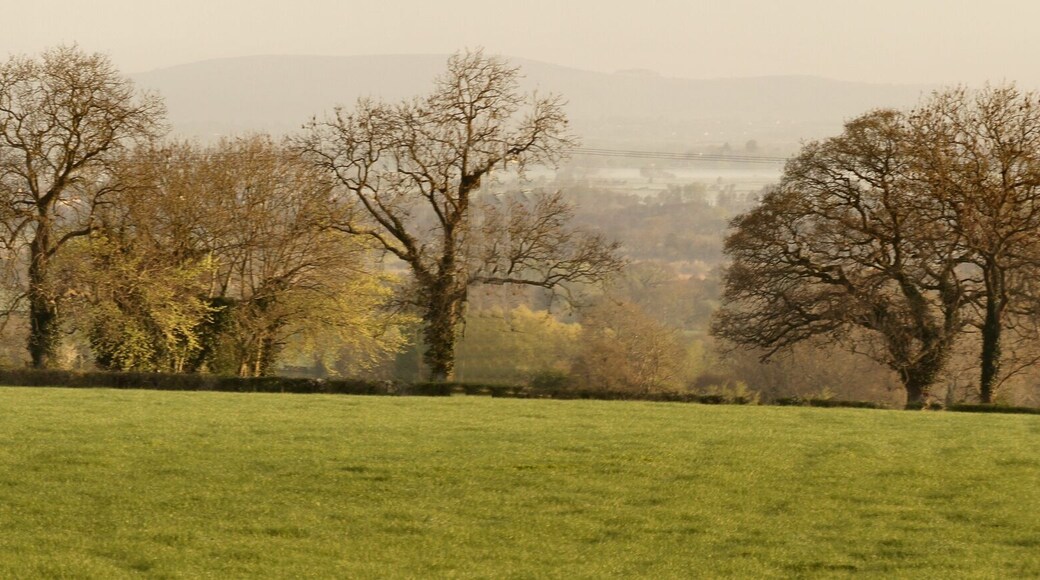 Looking across the Somerset Levels from the Polden Hills on a misty morning.