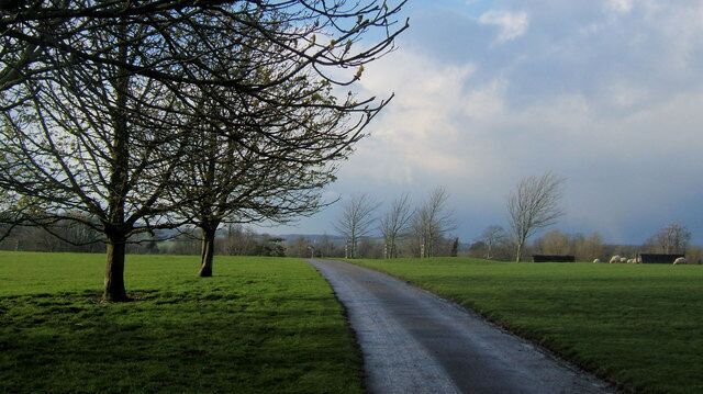 Firle Place Drive, East Sussex The long drive to access Firle Place. The parkland is sometimes used for equestrian events and two jumps can be seen on the right.
