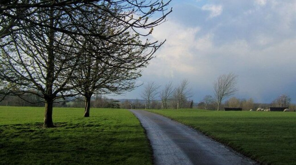 Firle Place Drive, East Sussex The long drive to access Firle Place. The parkland is sometimes used for equestrian events and two jumps can be seen on the right.