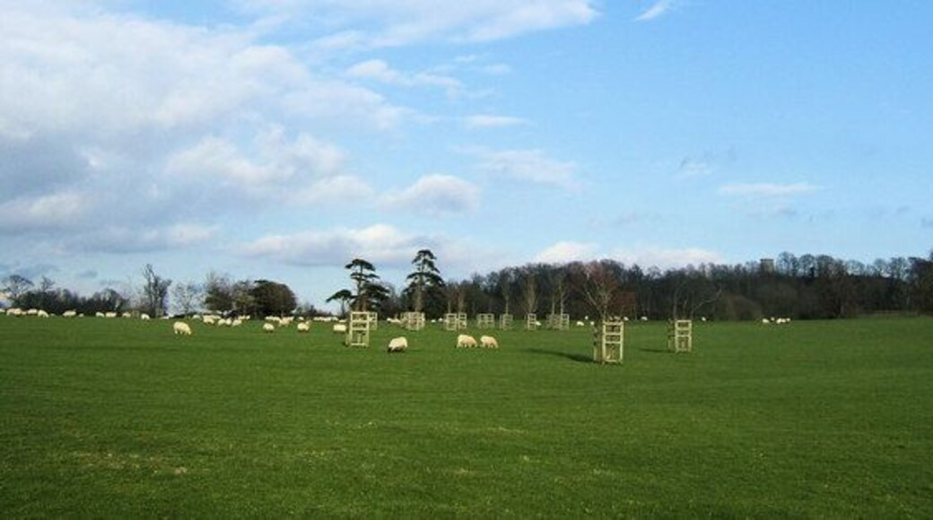Firle Park, East Sussex The gamekeeper's tower can be seen through the trees on the right.