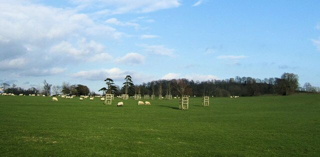 A green field with sheep and wooden structures.
