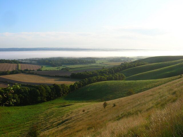 Foot of the Downs Looking across the base of the northern escarpment. The mist is obscuring much of the land between here and the Weald.