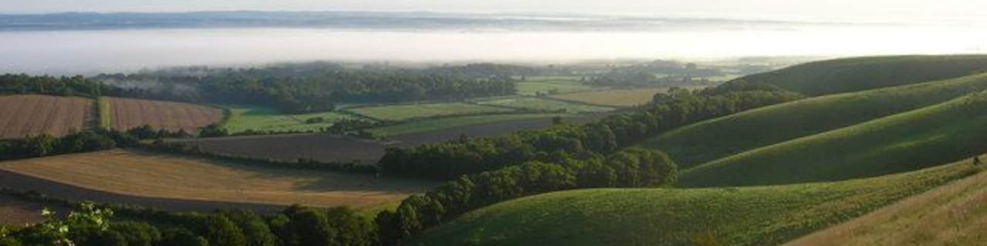 Foot of the Downs Looking across the base of the northern escarpment. The mist is obscuring much of the land between here and the Weald.