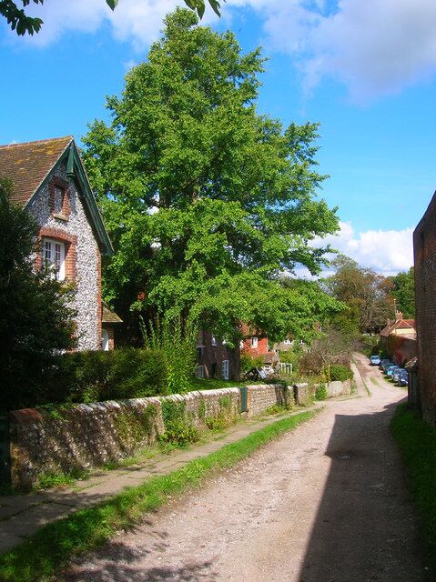 The Dock A private road that leads off The Street. So named as once a tributary of Glynde Reach was used to transport large items to the village. The waterway has long gone most likely during the designing of the park in the 18th century though the ponds and weirs there are likely to be part of the old course.