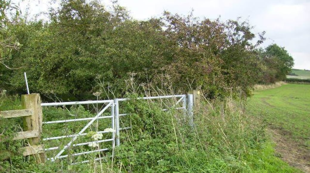 Bridleway south of Stittenham Wood