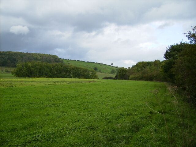 View along the north side of Stittenham Wood towards Mowthorpe