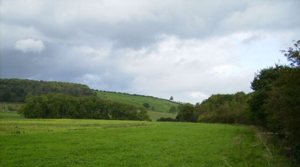 View along the north side of Stittenham Wood towards Mowthorpe