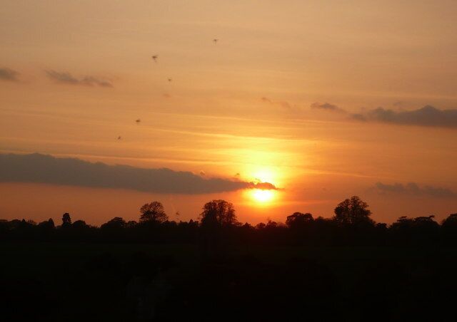 Birds flying over Ospringe as the sun sets Viewed from Vicarage Lane. Ospringe church is left of this photograph.