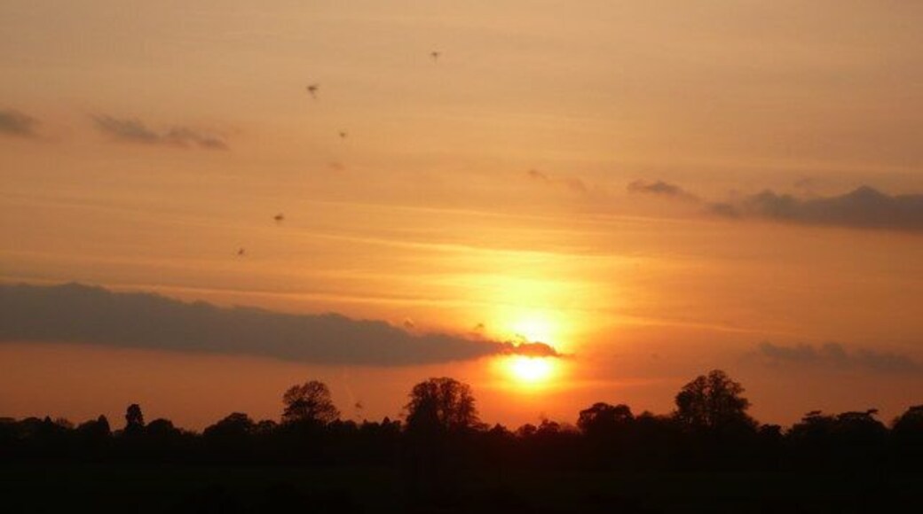 Birds flying over Ospringe as the sun sets Viewed from Vicarage Lane. Ospringe church is left of this photograph.