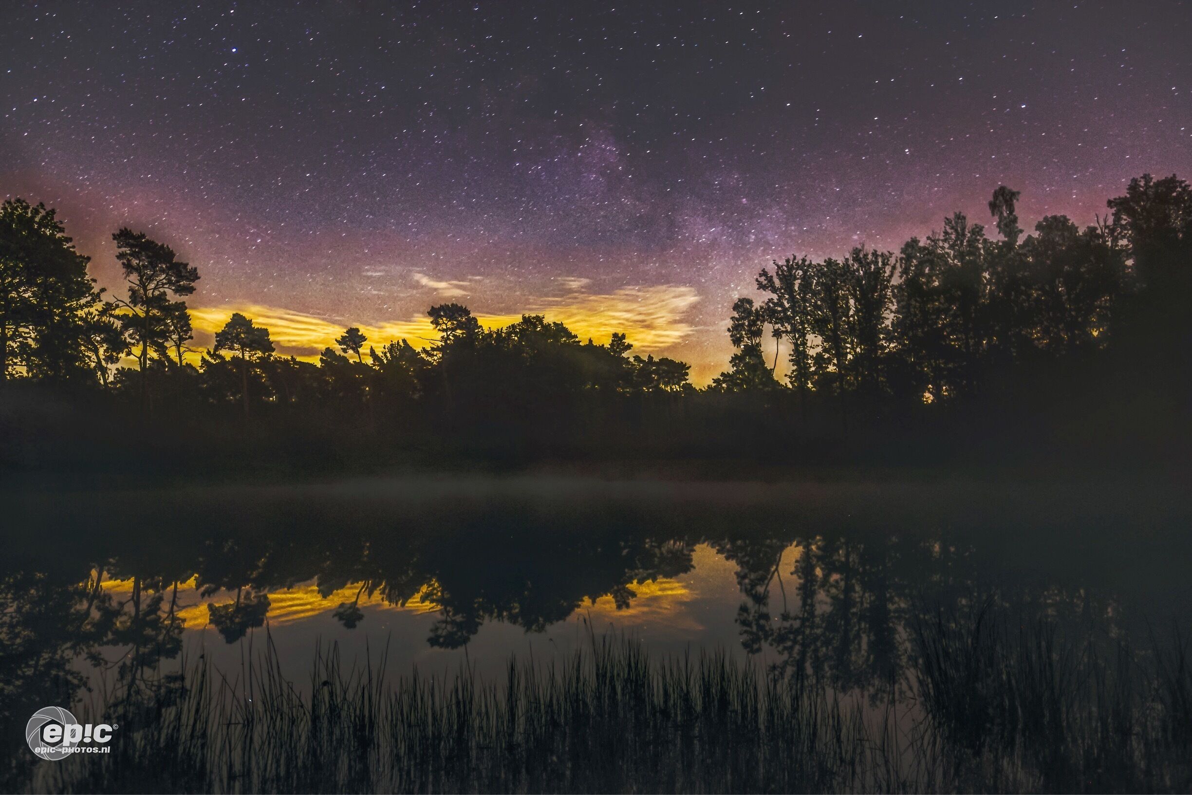 A starry night sky over a calm lake with silhouettes of trees and a reflection of the sky.