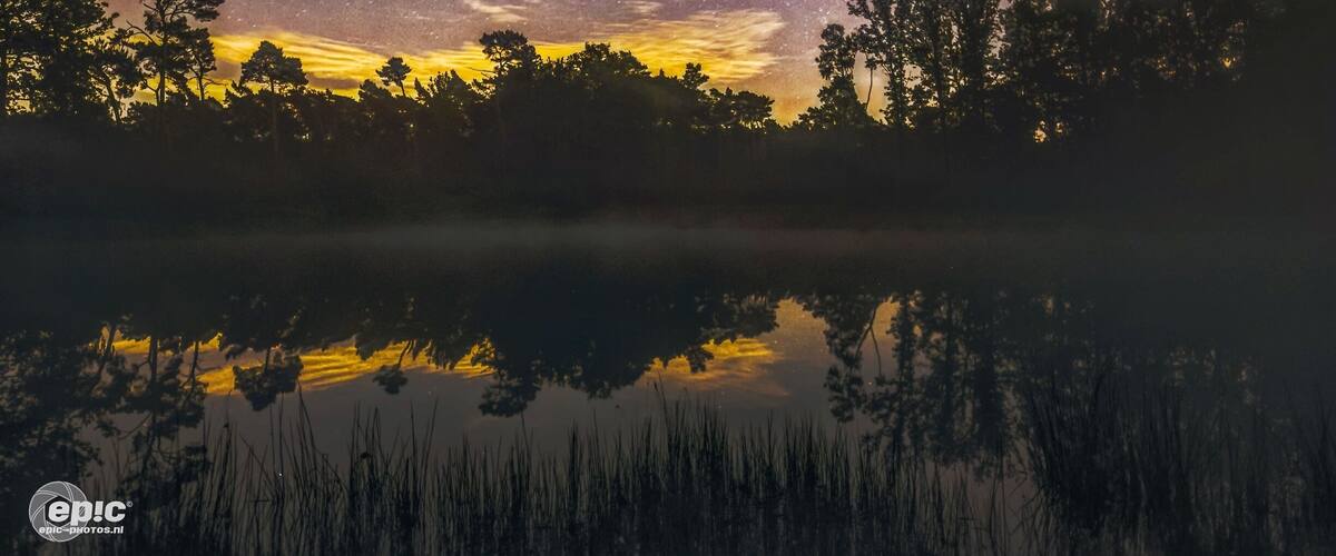 A starry night sky over a calm lake with silhouettes of trees and a reflection of the sky.