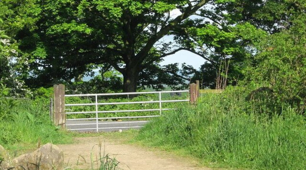 Gate entrance from the car park into Denham Hill quarry