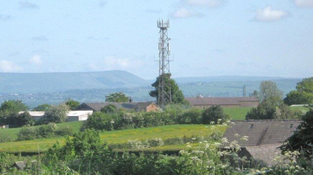 Communications mast behind Holt Lane farm