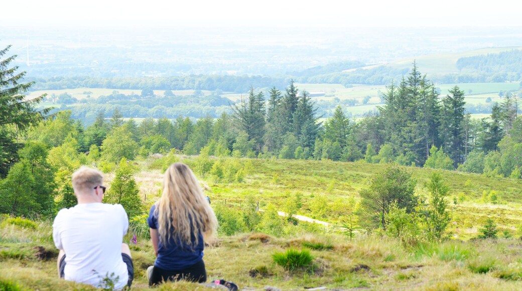 Ein Paar sitzt auf einer grasbewachsenen Anhöhe mit Blick auf ein bewaldetes Tal und ferne Hügel.