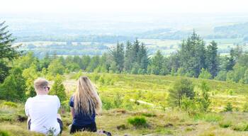 Beacon Fell, Lancashire, England, UK