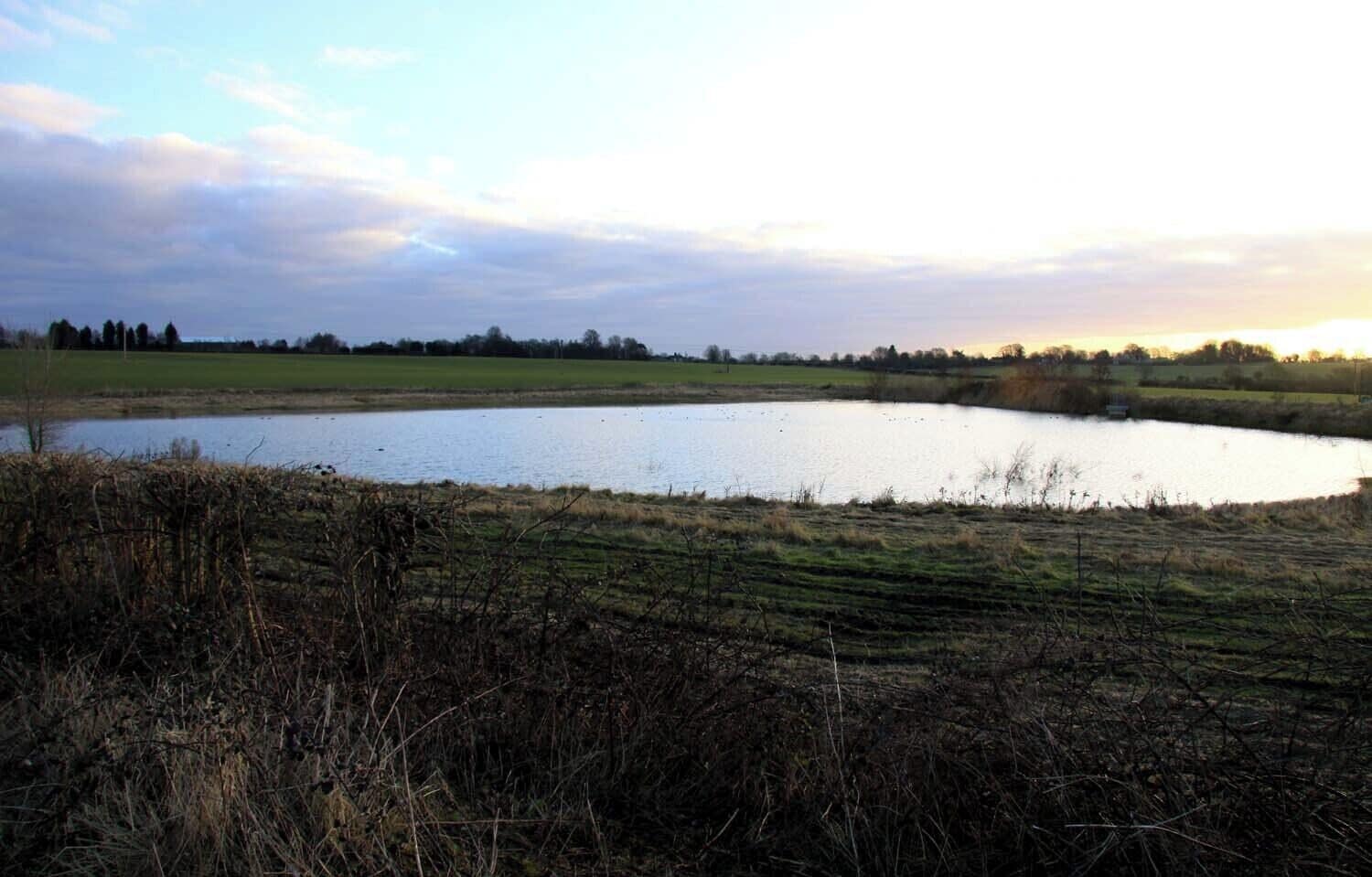 A pond surrounded by grassy fields and trees.