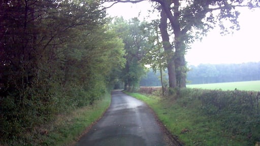 Gray's Lane Near Willow Grange