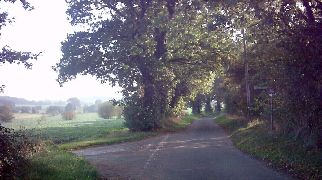 Junction of The Causeway & The Danger Near Brick Kiln Farm