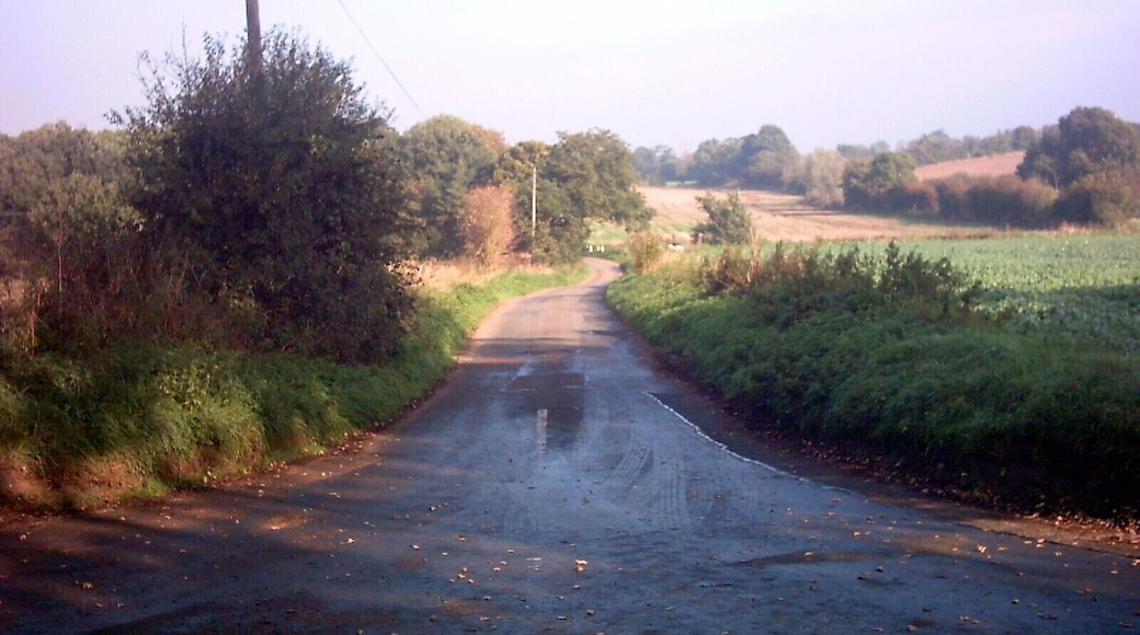Looking along The Causeway