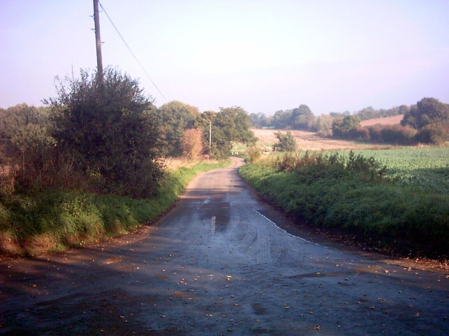 Looking along The Causeway