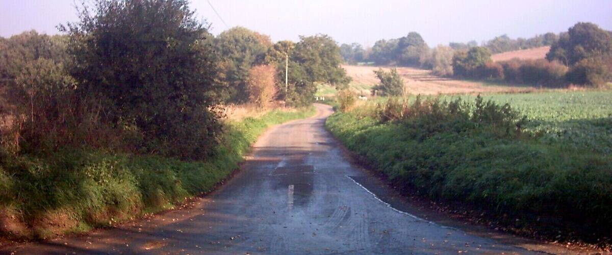 A rural road curving through fields with trees on either side.