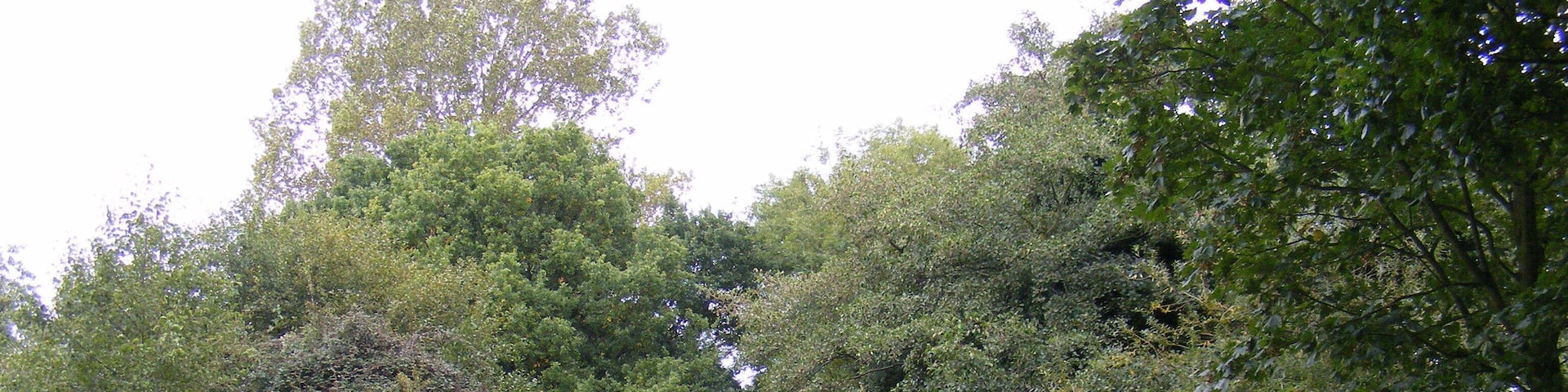 Wenhaston Lane (Looking towards the River Blyth and Blyford)