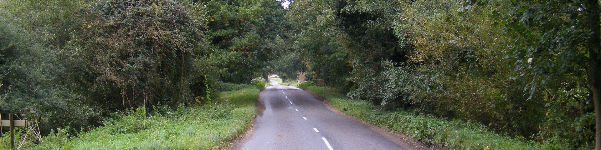 Wenhaston Lane (Looking towards the River Blyth and Blyford)