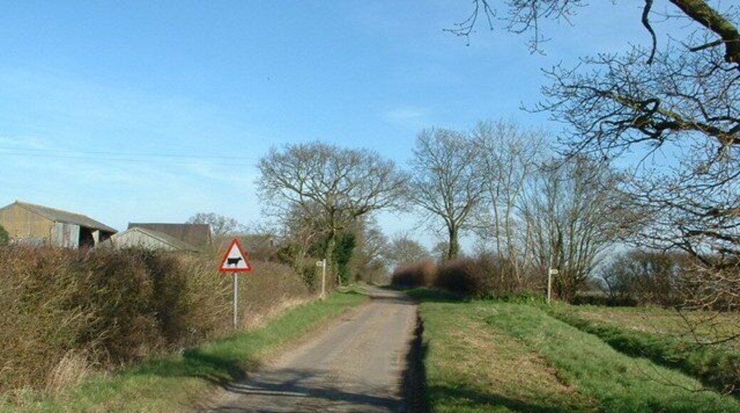 Bartholomews Lane Wenhaston Looking north along Bartholomews Lane towards the farm. The footpath from Wenhaston to Halesworth can be seen crossing the lane.