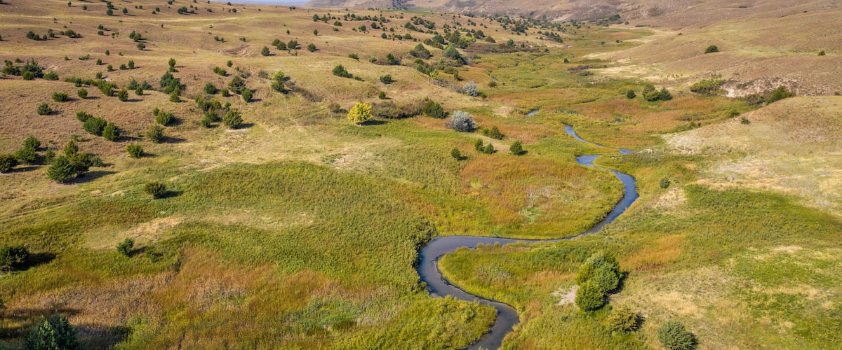 A winding river through a grassy valley with scattered trees and rolling hills in the background.