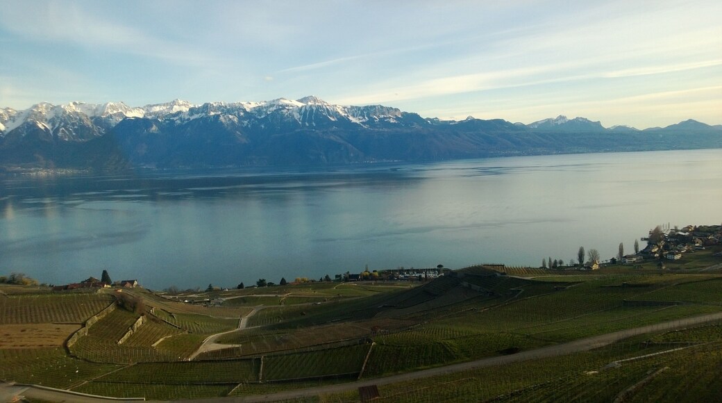 Grandvaux, Bourg-en-Lavaux, Switzerland