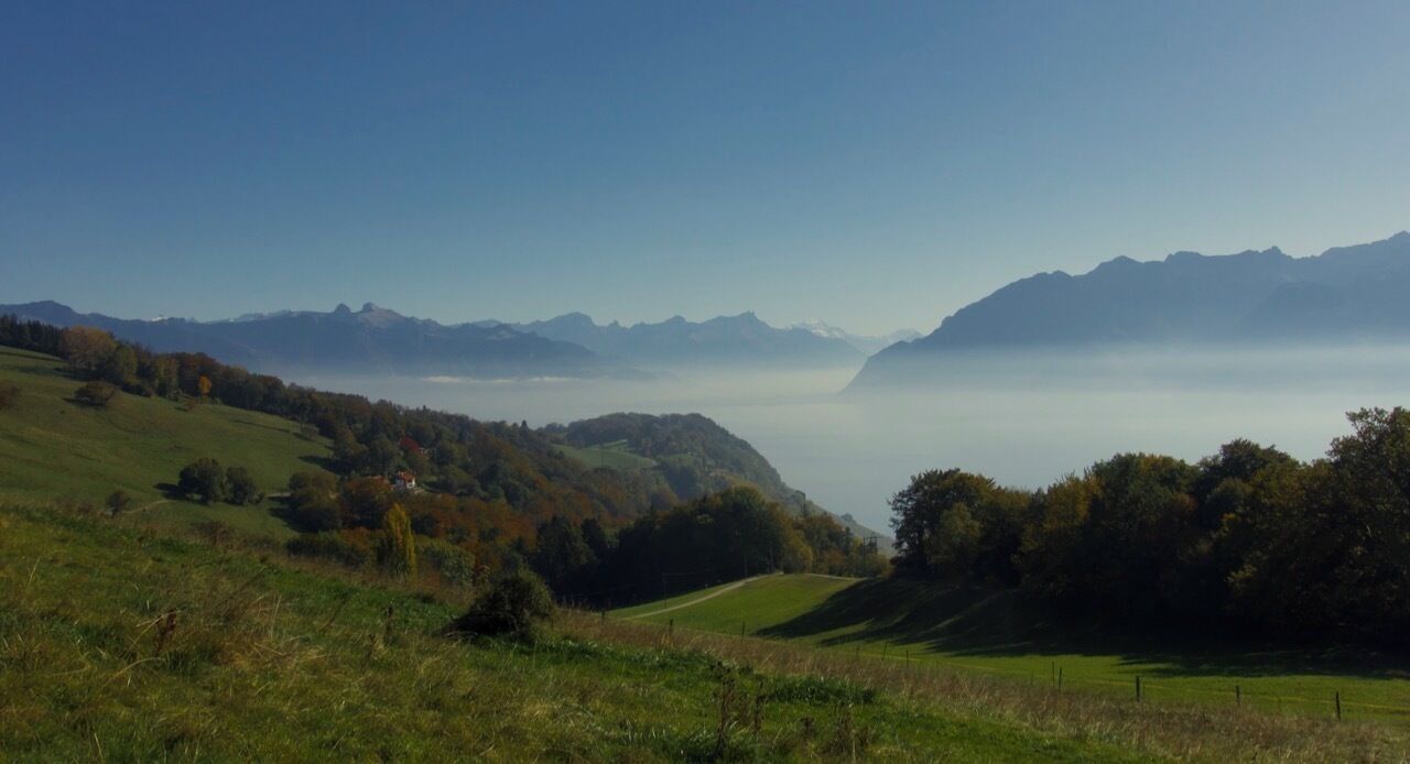 Where the countryside meets the the Geneva lake and the great Swiss Alps above Vevey
#LifeatExpediaGroup