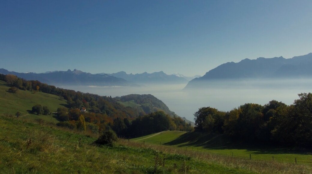 Where the countryside meets the the Geneva lake and the great Swiss Alps above Vevey
#LifeatExpediaGroup