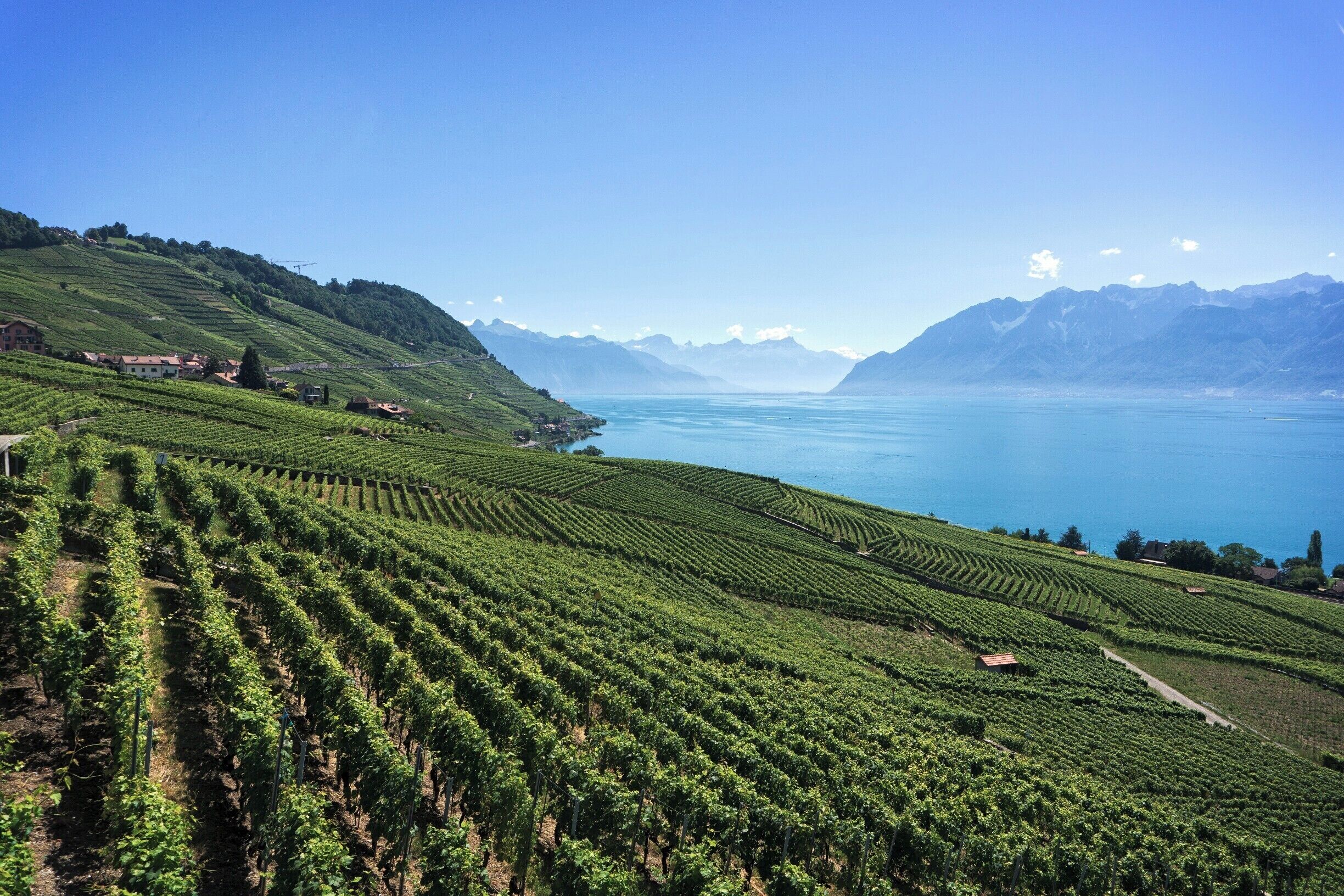 Taking a day out from the mountains, we decided to take a drive around Lake Geneva and encountered the stunning Lavaux Vineyards on the Northern side of the lake.