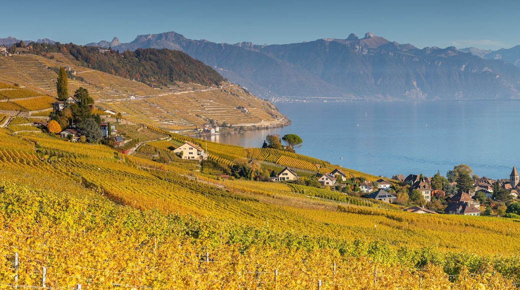Bourg-en-Lavaux