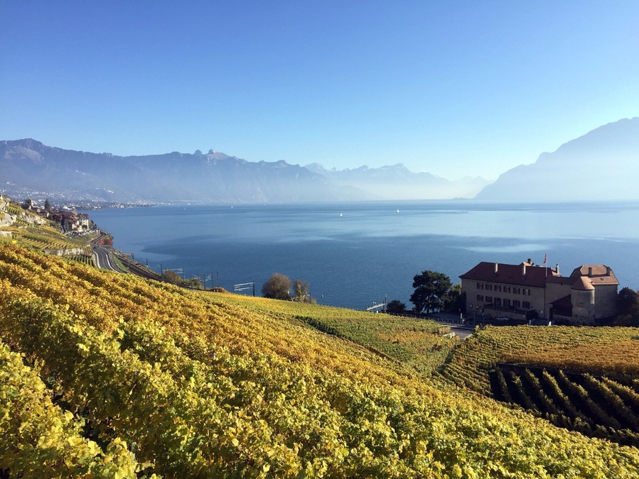 #Unesco #Inheritage Vignards of #Lavaux.
A great place to visit, especially in autumn.
Best way to do the #vignard walk is to take the train to St-Sephorin from #Lausanne and walk your way back towards Lausanne.
Beautiful views on the #Geneva lake and the #alps #hiking #lifeatexpedia