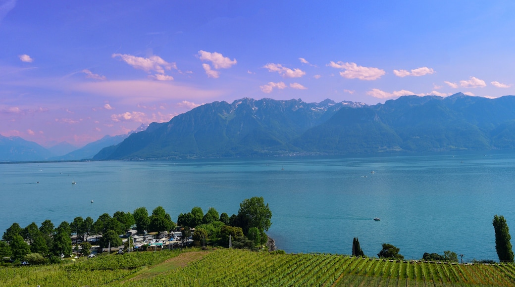 Bourg-en-Lavaux