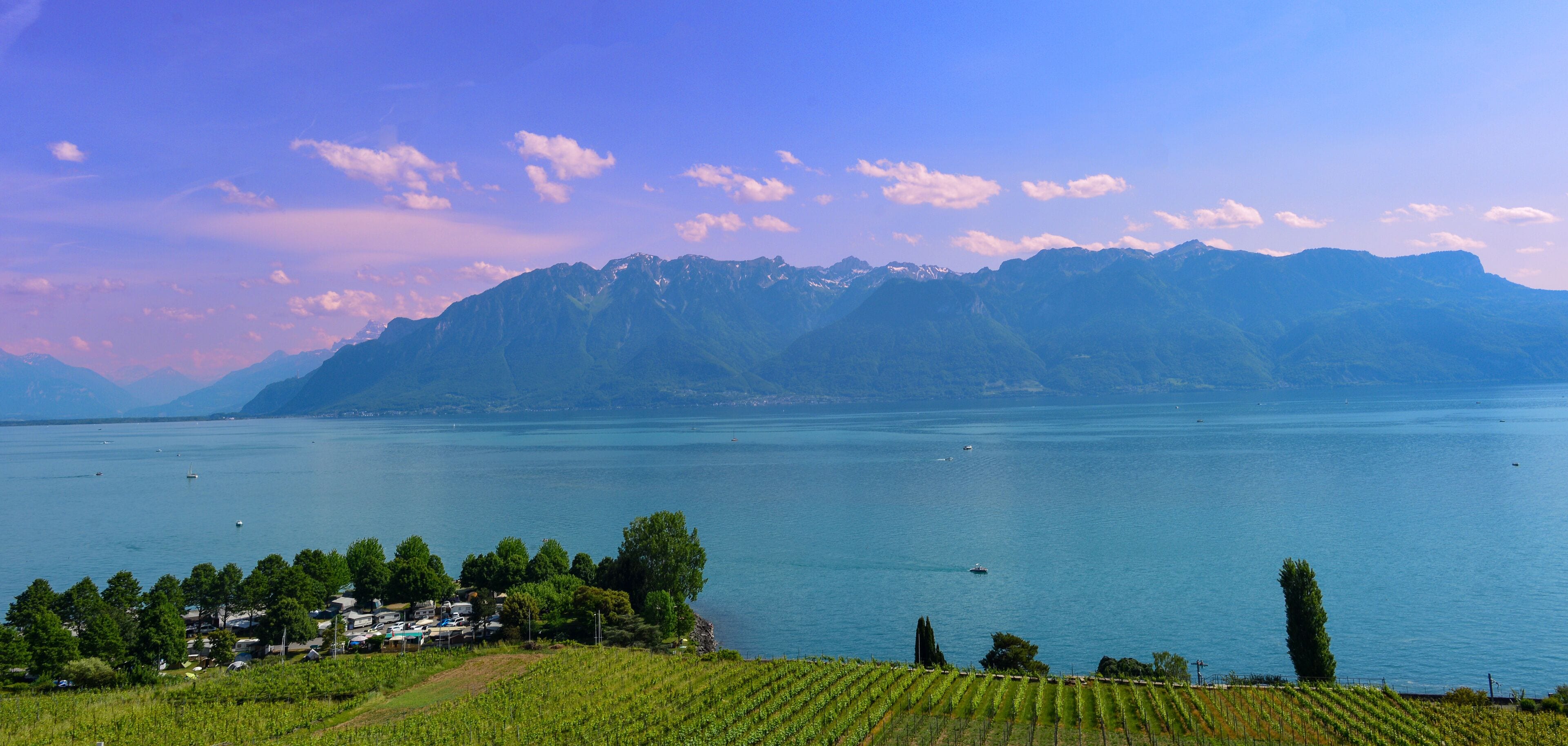 A lake surrounded by mountains and a vineyard.