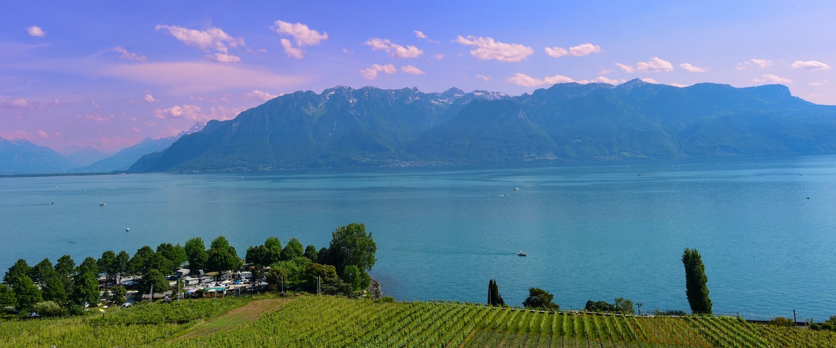 A lake surrounded by mountains and a vineyard.