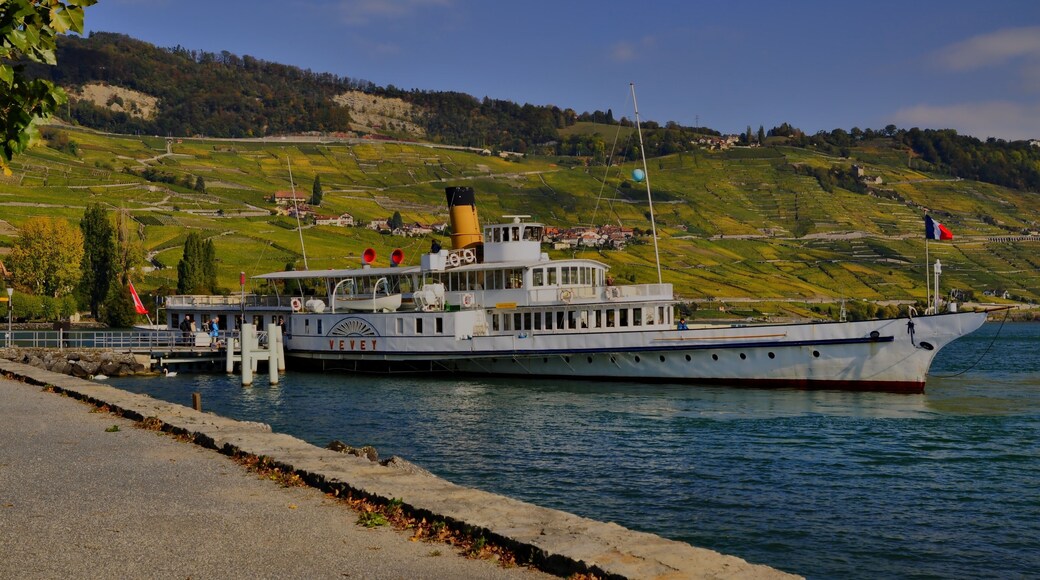 Compagnie Générale de Navigation sur le lac Léman,Vessel,Paddle steamer Vevey
