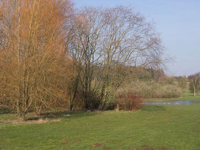 The Arboretum - Dew Pond