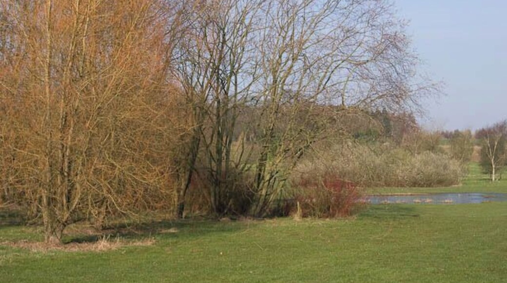 The Arboretum - Dew Pond