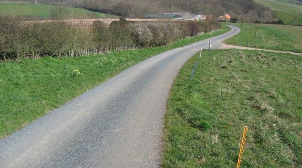 Birkdale Farm Road/Bridleway