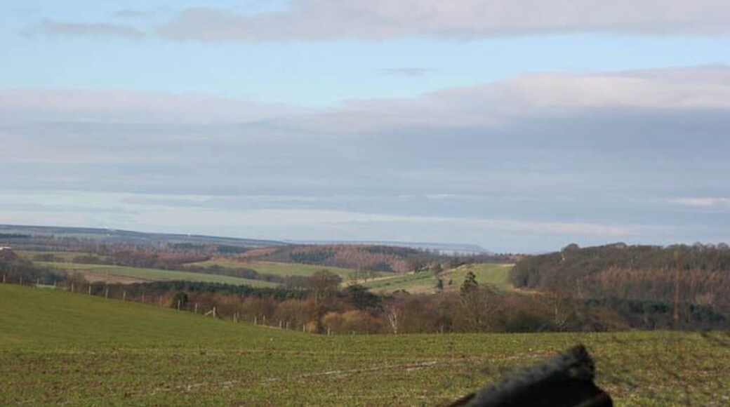 Towards the White Horse from The Arboretum, Kew at Castle Howard